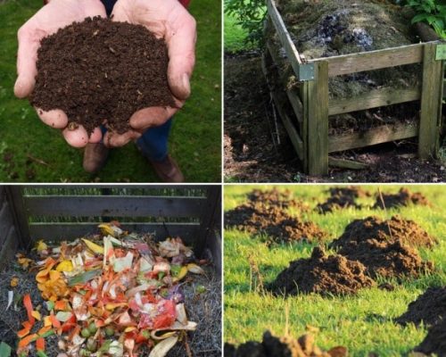 Composting & Bio-Remediation Solutions